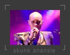 skunk anansie, poznan, uam, skin, skinny, concert, photos, zdjcia