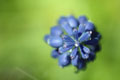 [022] nature photos
