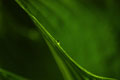 [027]  nature photos