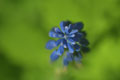 [029] nature photos