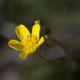 [036]  nature photos