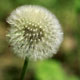 [038] nature photos