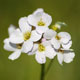 [039] nature photos