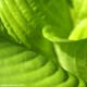 [040] nature photos