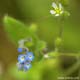 [041] nature photos