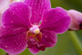 [013] nature photos