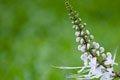 [020] nature photos