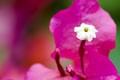 [008] nature photos