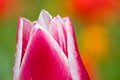 [003] nature photos