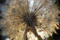 [004] nature photos