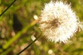 [005] nature photos