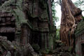 Ta Prohm