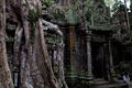 Ta Prohm