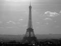 La Tour Eifflel, Wiea Eiffla